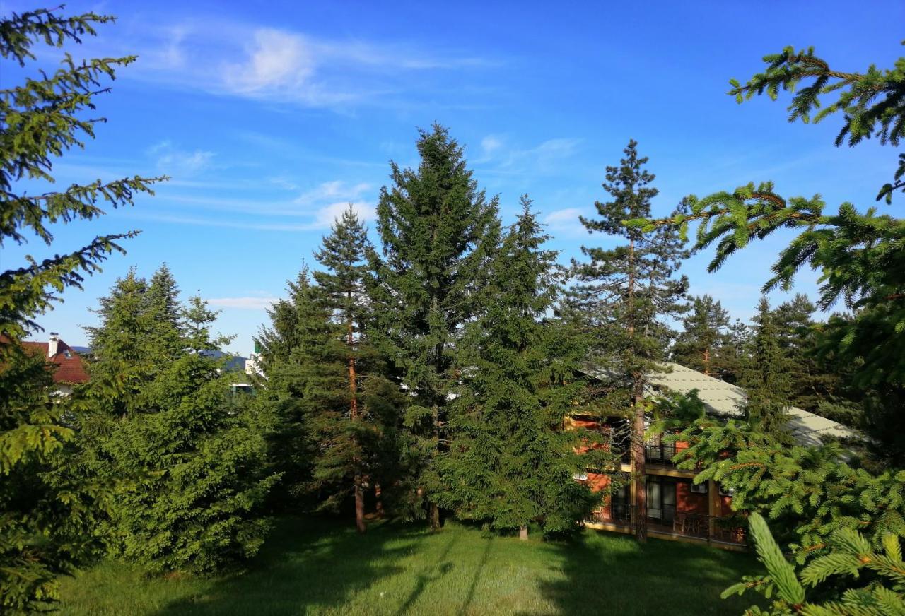 Hotel President Garni Zlatibor Bagian luar foto