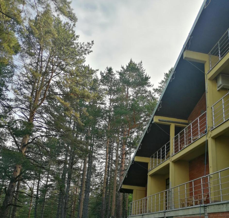 Hotel President Garni Zlatibor Bagian luar foto