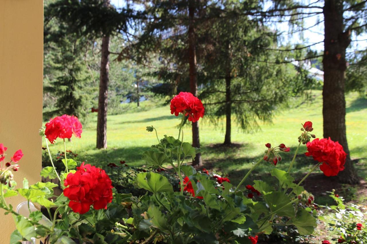 Hotel President Garni Zlatibor Bagian luar foto